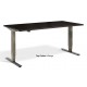 Forge Dual Motor Height Adjustable Desk